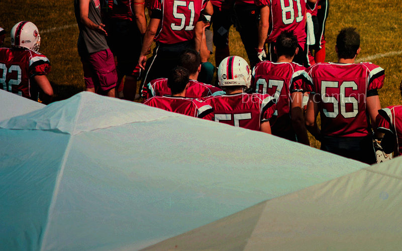 展示两队比分变化曲线与关键事件点的数据图表